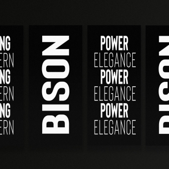 Sans Serif