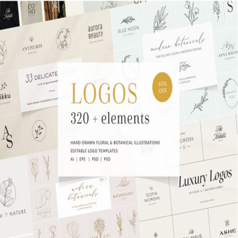 Branding & Logos