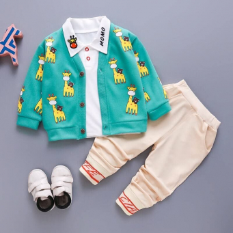 Boys Clothing Sets