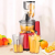 Cold Press Vertical Fruit and Vegetable Masticating Juicer Machine