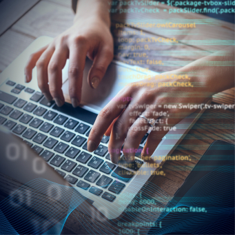 Development & IT Services