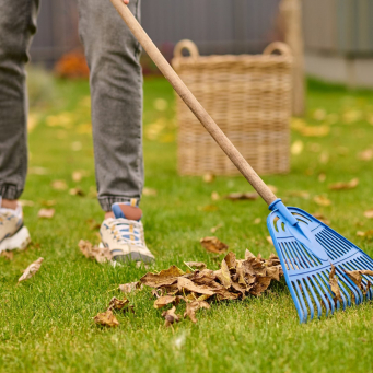 Home and Gardening