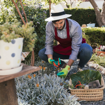 Home and Gardening