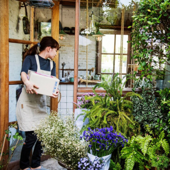 Home and Gardening